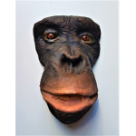 Dodenmasker Chimpansee